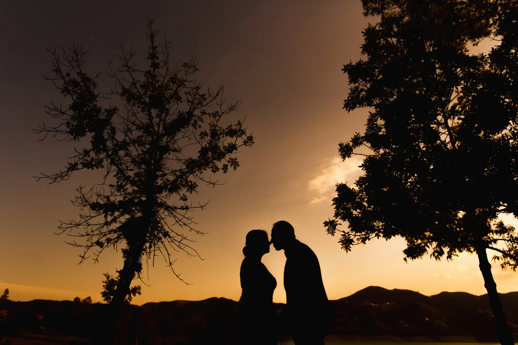 Siluetas de una pareja entre árboles al atardecer