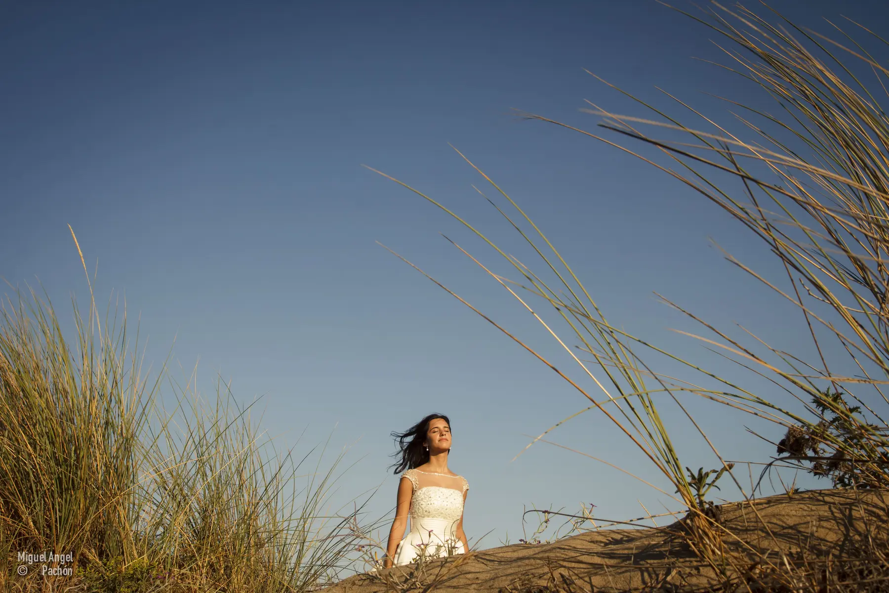 Novia entre cañas bajo el cielo azul