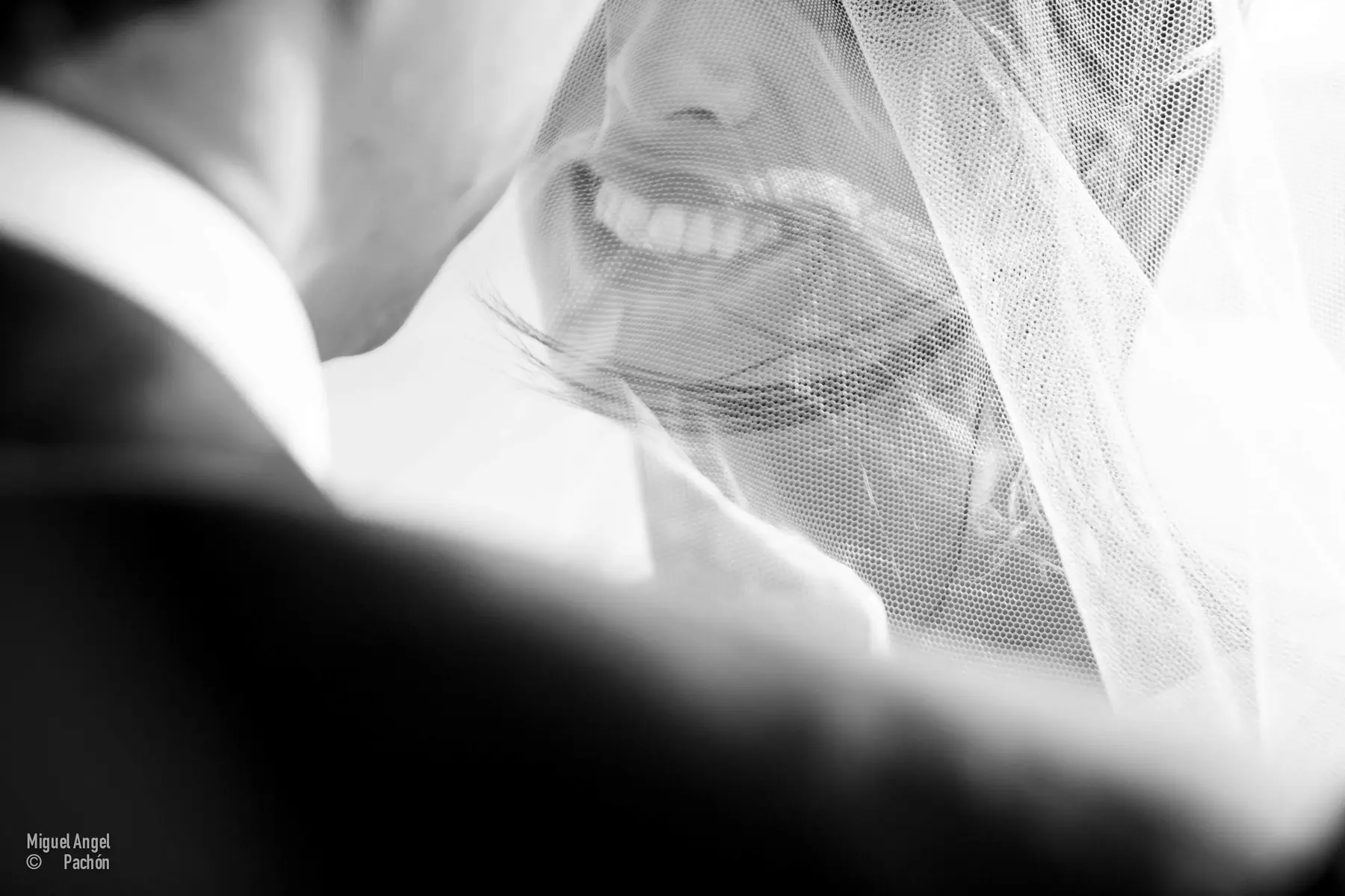 Novios bajo el velo en blanco y negro