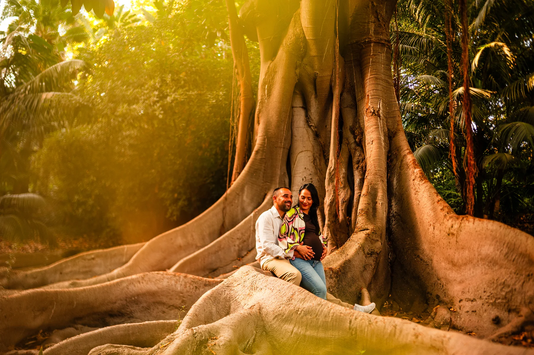 Pareja sentada entre las raíces de un gran árbol