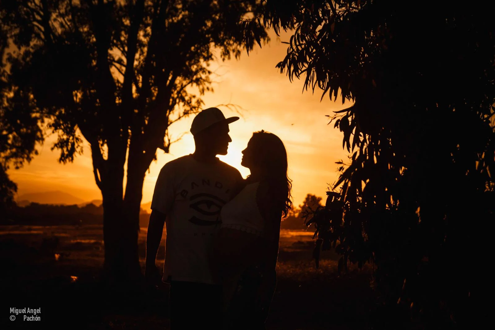Pareja en silueta bajo un árbol al atardecer