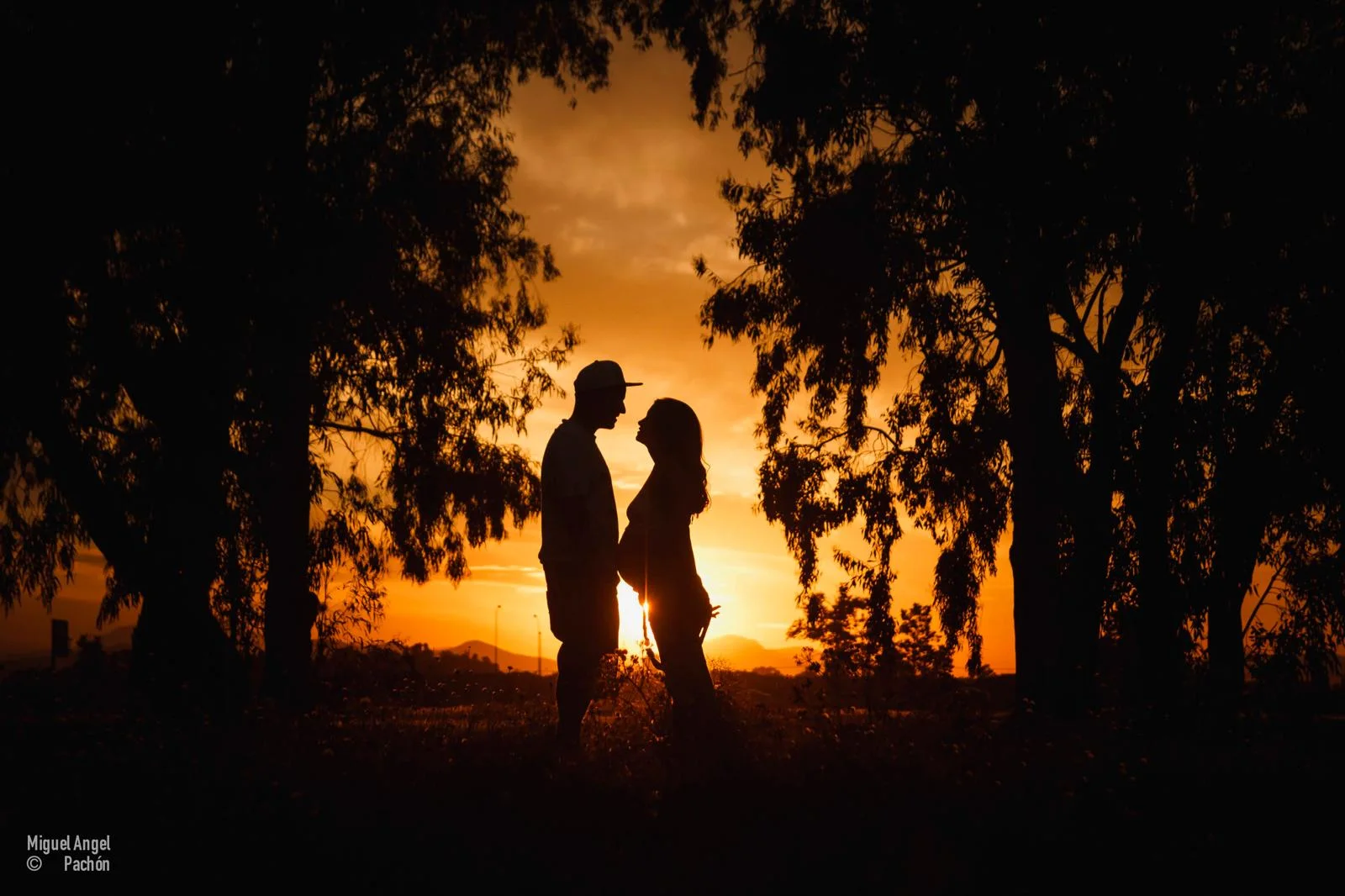 Pareja en silueta enmarcada por árboles al atardecer