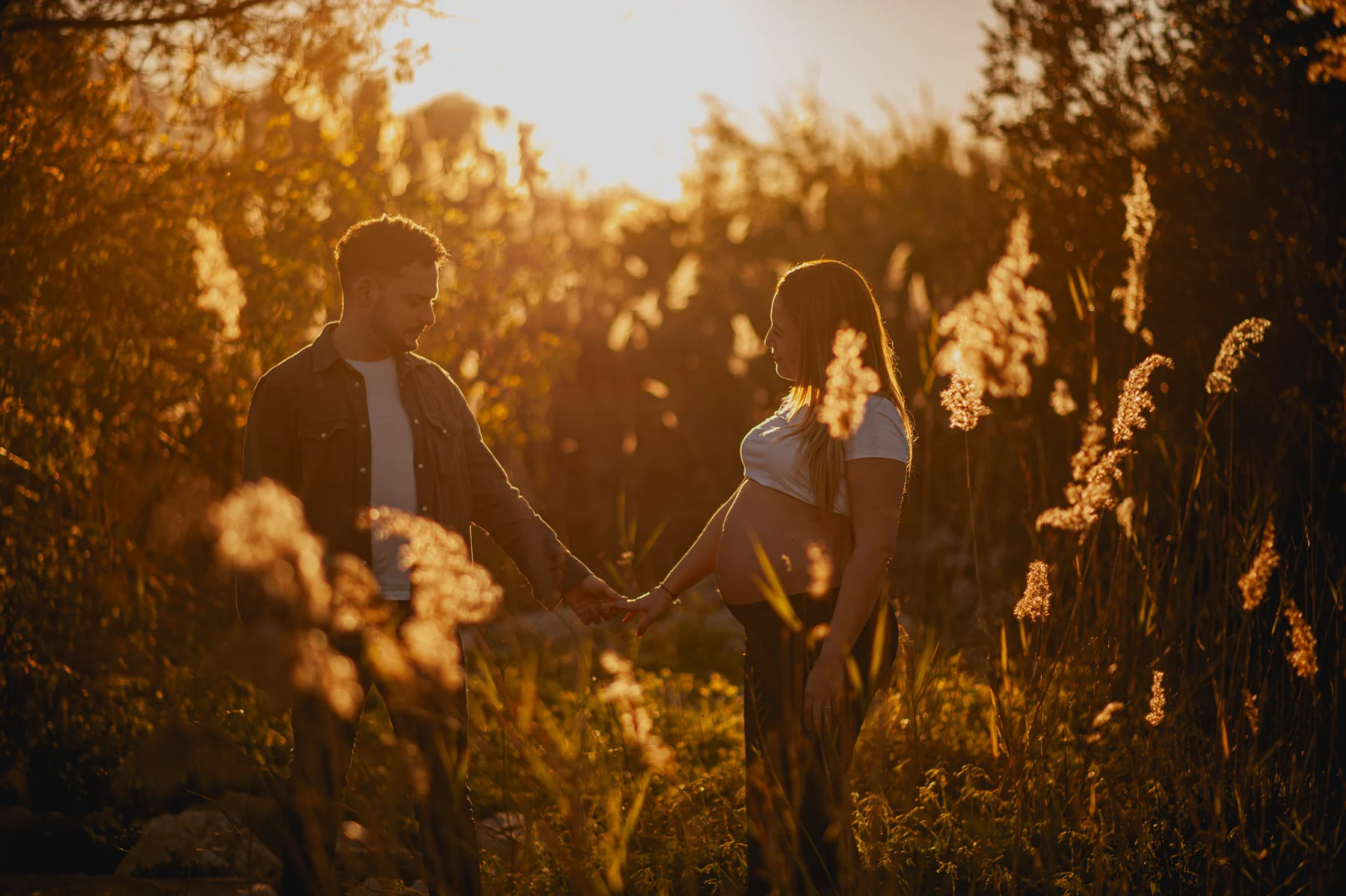 Pareja embarazada entre cañas con luz de atardecer
