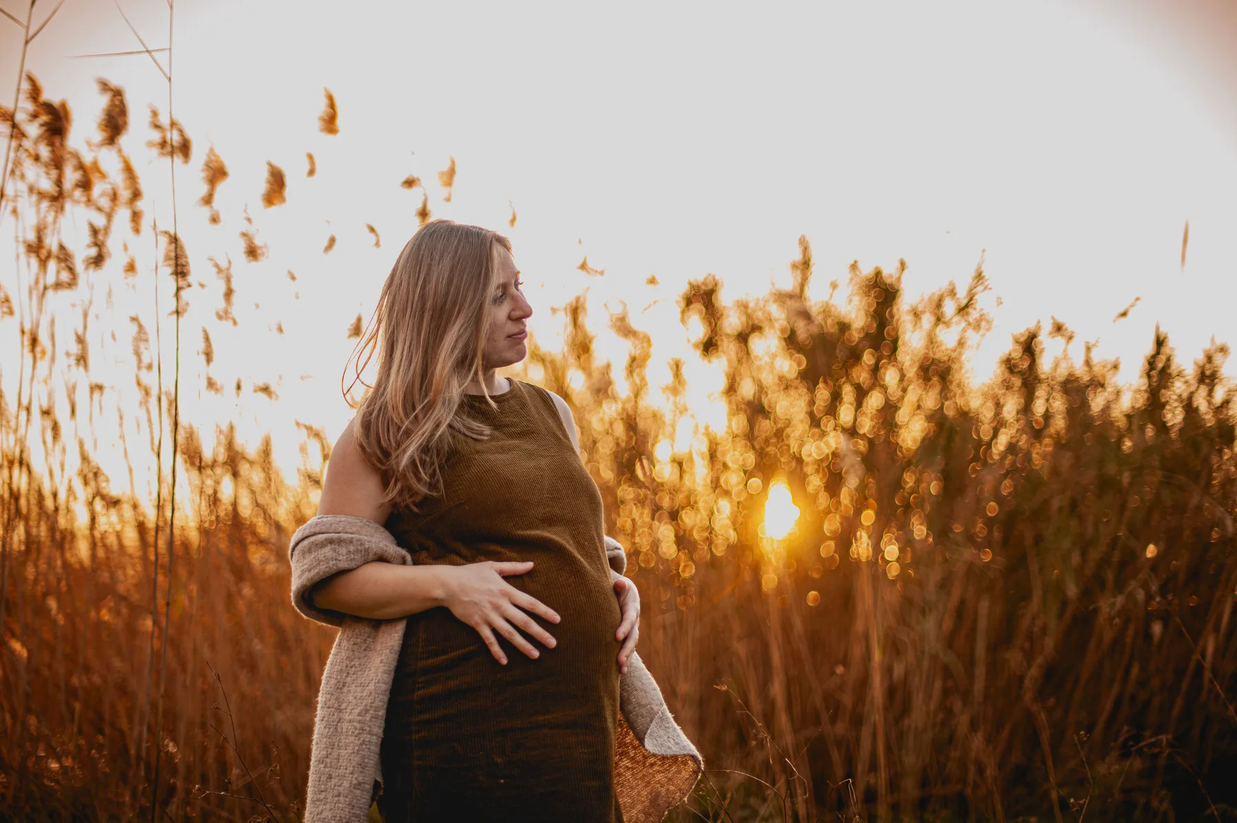 Mujer embarazada entre cañas al atardecer