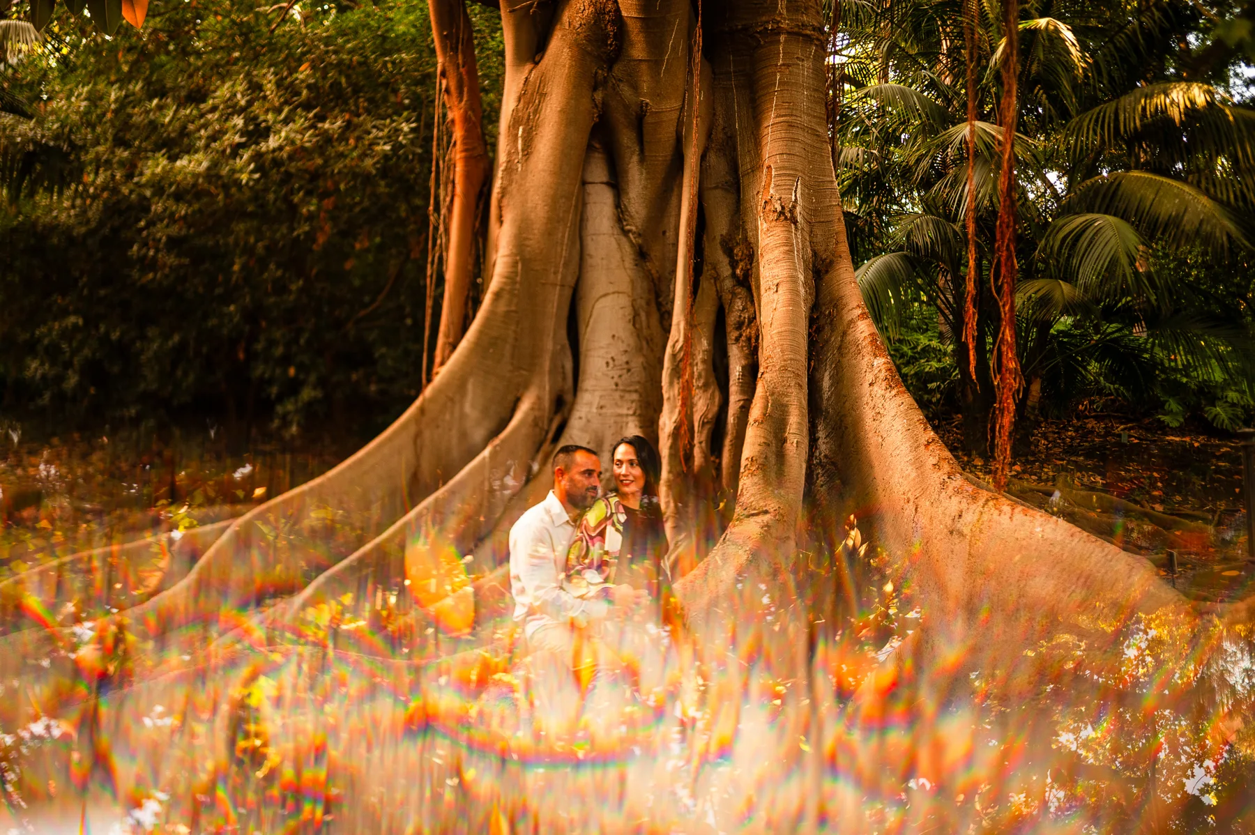 Pareja junto a las raíces de un árbol vista entre reflejos de color